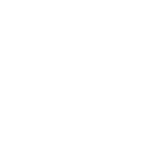 Modern Electronix